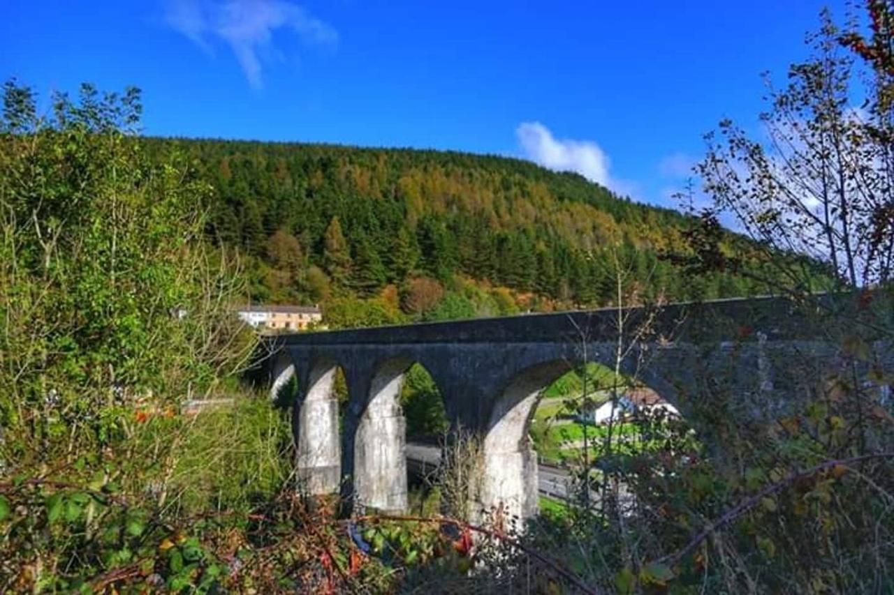 Selah Cottage, 21 Queen Street Pontrhydyfen Dış mekan fotoğraf